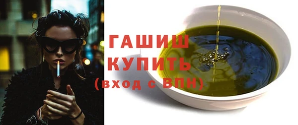 хмурый Каменка